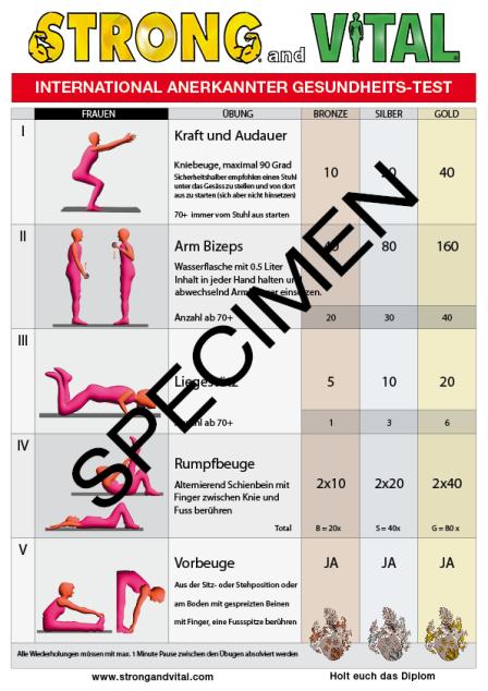basis-gesundheits-test
